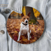 Basenji in Herfst laat Herfst inspireren Ronde Button 6,0 Cm (In situ)
