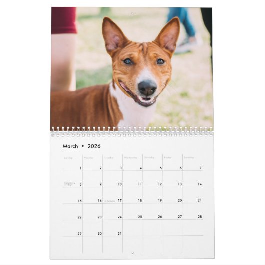 Basenji Kalender 2026 (Mar 2026)