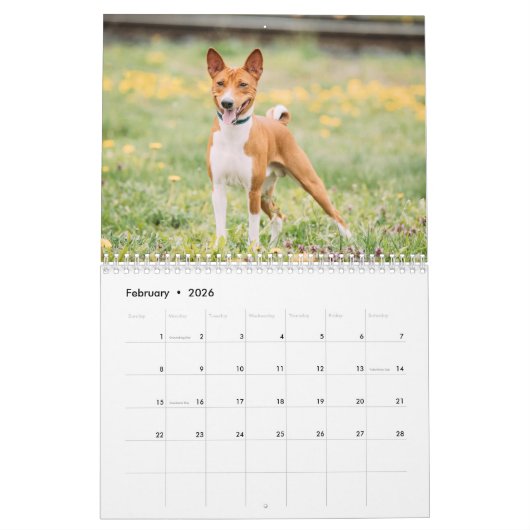 Basenji Kalender 2026 (Feb 2026)