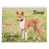 Basenji Kalender 2026 (Hoes)