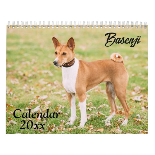 Basenji Kalender 2026 (Hoes)