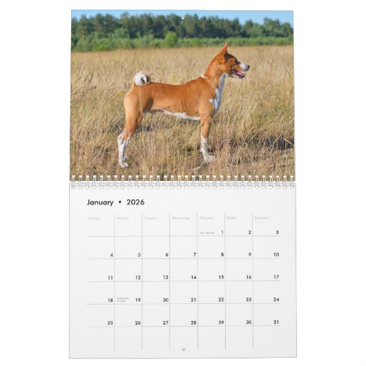Basenji Kalender 2026 (Jan 2026)
