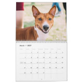 Basenji Kalender 2026 (Mar 2027)