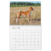 Basenji Kalender 2026 (Jan 2027)