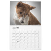 Basenji-kalender Kalender (Jan 2027)