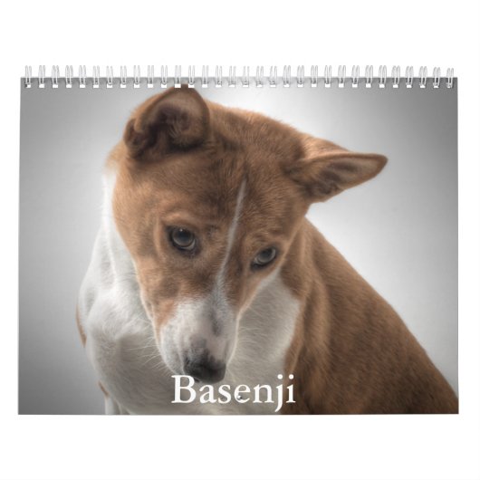 Basenji-kalender Kalender (Hoes)