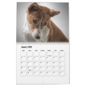 Basenji-kalender Kalender (Jan 2026)