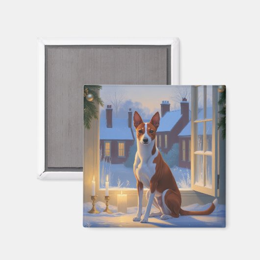 Basenji met kerstlichtjes vakantie magneet (Voorkant / Achterkant)
