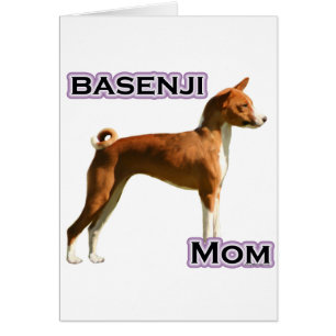 Basenji Moeder 4