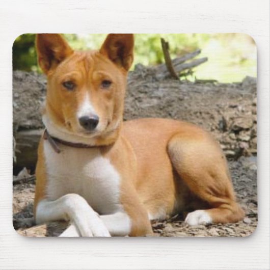 Basenji Mousepad Muismat (Voorkant)