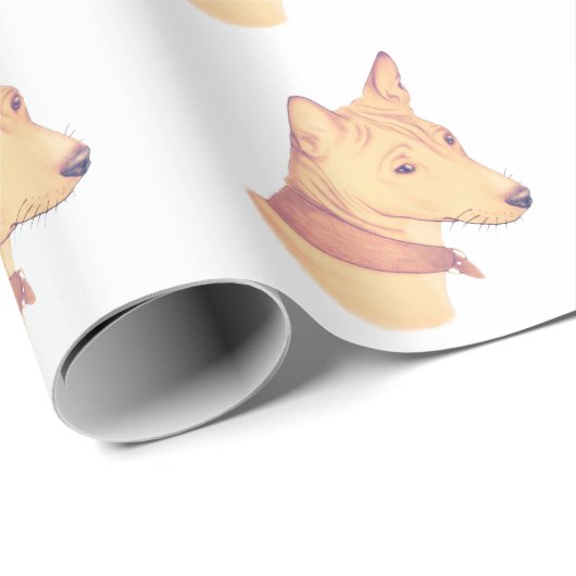 Basenji pakpapier (Rol Hoek)