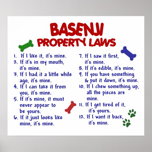 BASENJI PL2 POSTER (Voorkant)