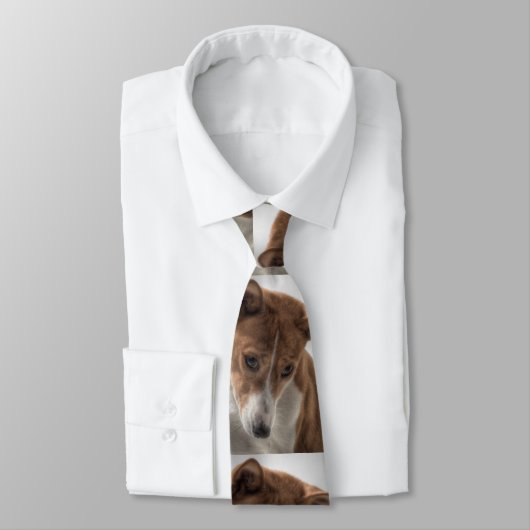 basenji stropdas (Gebonden)