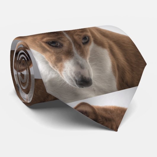 basenji stropdas (Opgerold)