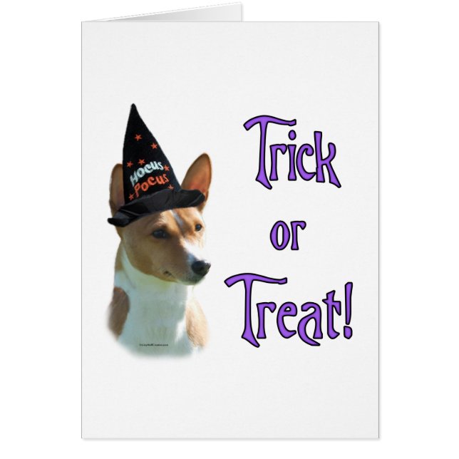 Basenji Trick (Voorkant)