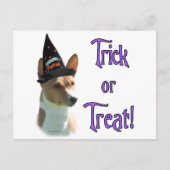 Basenji Trick Briefkaart (Voorkant)