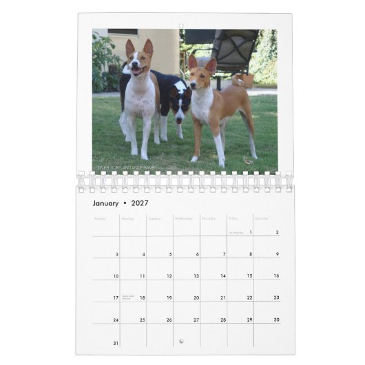 Basenjis van de Sociale Kalender 2010 (Jan 2027)