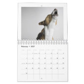 Basenjis van de Sociale Kalender 2010 (Feb 2027)