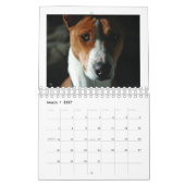Basenjis van de Sociale Kalender 2010 (Mar 2027)