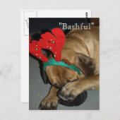 Bashful English Mastiff Dog with Reindeer Antlers Briefkaart (Voorkant / Achterkant)