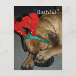 Bashful English Mastiff Dog with Reindeer Antlers Briefkaart