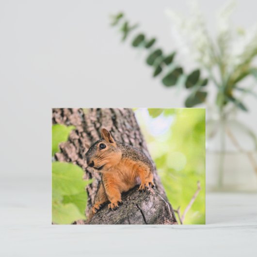 Bashful Feestdagenkaart (Staand voorkant)