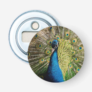 Bashful Peacock Button Flesopener