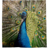 Bashful Peacock Douchegordijn (Voorkant)