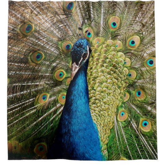 Bashful Peacock Douchegordijn (Voorkant)