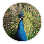 Bashful Peacock Keramische Knop (Voorkant)