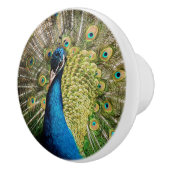 Bashful Peacock Keramische Knop (Rechts)