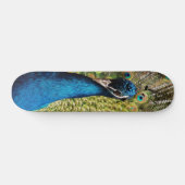Bashful Peacock Persoonlijk Skateboard (Horizontaal)