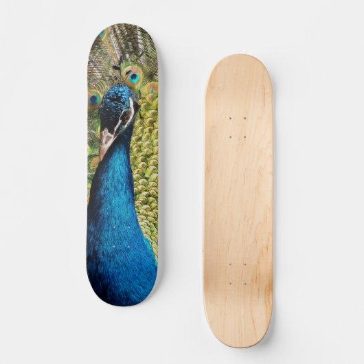 Bashful Peacock Persoonlijk Skateboard (Voorkant)