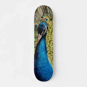 Bashful Peacock Persoonlijk Skateboard