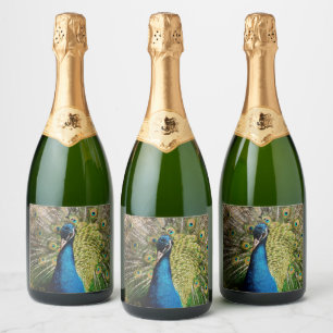 Bashful Peacock Sparkling Wijnetiket