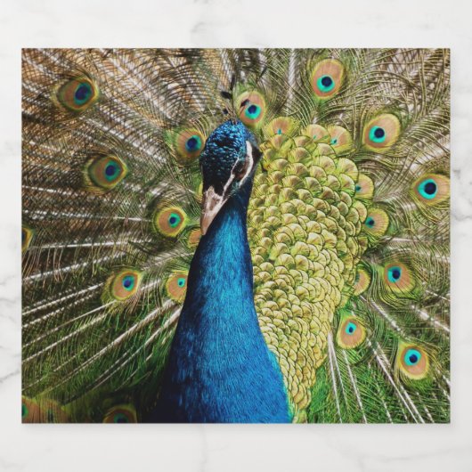 Bashful Peacock Sparkling Wijnetiket (Enkel label)