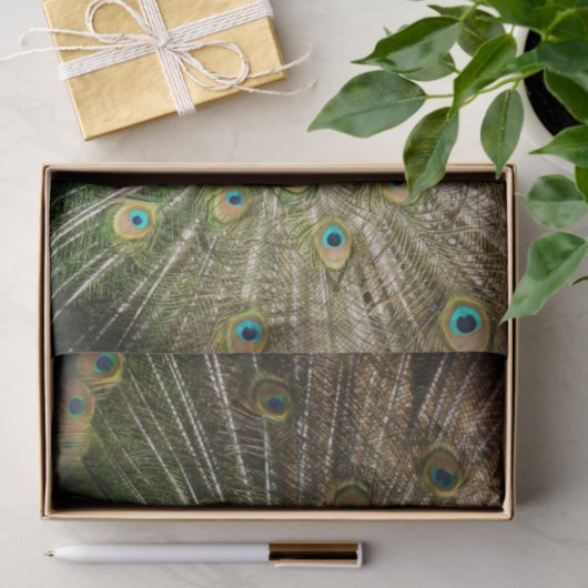 Bashful Peacock Tissuepapier (Geschenk)
