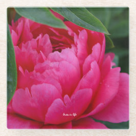 Bashful Pink Peony Glazen Onderzetter