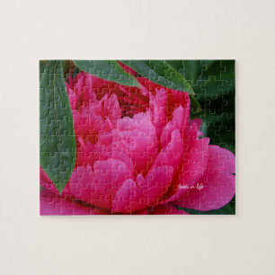 Bashful Pink Peony Legpuzzel
