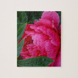 Bashful Pink Peony Legpuzzel