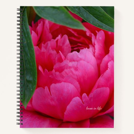Bashful Pink Peony Notitieboek (Voorkant)