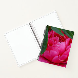 Bashful Pink Peony Notitieboek