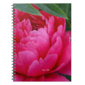 Bashful Pink Peony Notitieboek (Voorkant)