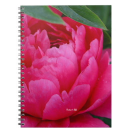Bashful Pink Peony Notitieboek