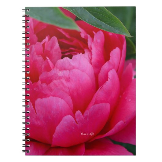 Bashful Pink Peony Notitieboek (Voorkant)