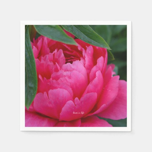 Bashful Pink Peony Servet (Voorkant)