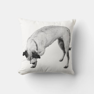 Bashful Pup, Gezellige hoek Kussen