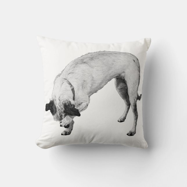 Bashful Pup, Gezellige hoek Kussen (Voorkant)