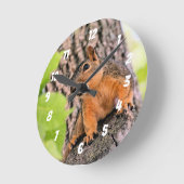 Bashful Ronde Klok (Hoek)