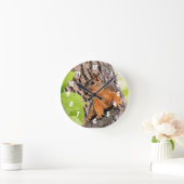 Bashful Ronde Klok (Huis)